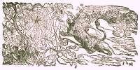 Illustration by  Harrison Weir, John Tenniel and Ernest Griest, 1884.