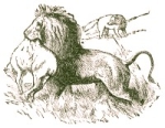 Illustration by  Harrison Weir, John Tenniel and Ernest Griest, 1884.
